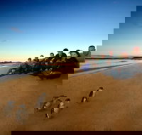 Phillip Island Ultimate Penguin Eco Tour or Skybox Experience - Airlie Beach Holiday