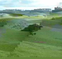 Day Tour of Phillip Island  Surrounding Region - Airlie Beach Holiday