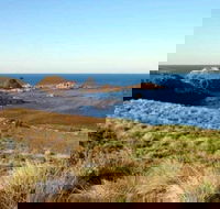 Phillip Island Walking  Bird Watching Tour - Airlie Beach Holiday