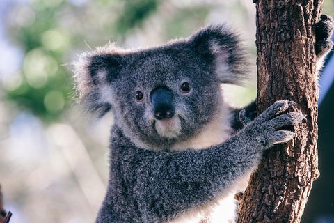 AUSTRALIAN NATIVE FOOD TOUR From Melbourne - Airlie Beach Holiday 1