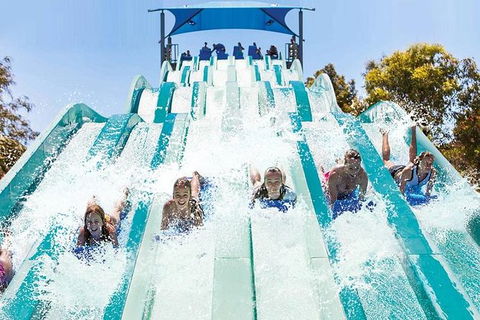 Adventure Park Geelong: General Admission Ticket - Airlie Beach Holiday 1