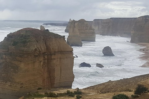 Luxury Private Day Tours (Great Ocean Rd, Phillip Island ,Yarra Valley) - Airlie Beach Holiday 0