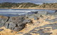 Luxury Private Day Tours (Great Ocean Rd, Phillip Island ,Yarra Valley) - thumb 1