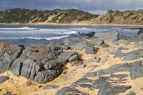 Luxury Private Day Tours (Great Ocean Rd, Phillip Island ,Yarra Valley) - Airlie Beach Holiday 1