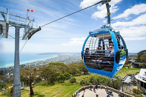 Around The Bay Food And Wine Taste Trail - Airlie Beach Holiday 1