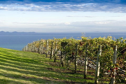 Around The Bay Food And Wine Taste Trail - Airlie Beach Holiday 5