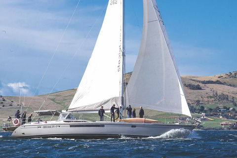 Half-Day Sailing On The Derwent River From Hobart - Airlie Beach Holiday 5