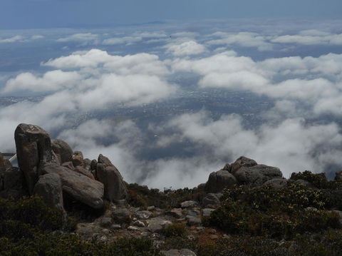 Cruise Ship Special Ex Hobart: Mt Wellington, Richmond, Bonorong With Free WiFi - Airlie Beach Holiday 15