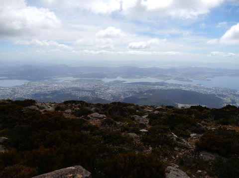 Cruise Ship Special Ex Hobart: Mt Wellington, Richmond, Bonorong With Free WiFi - Airlie Beach Holiday 10