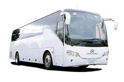 Cruise Ship Special Ex Hobart: Mt Wellington, Richmond, Bonorong With Free WiFi - Airlie Beach Holiday 19
