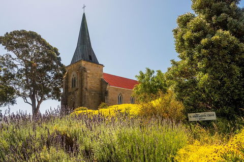 Cruise Ship Special Ex Hobart: Mt Wellington, Richmond, Bonorong With Free WiFi - Airlie Beach Holiday 18
