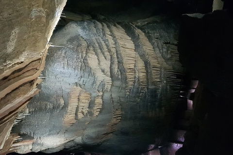 Leven Canyon And Gunns Plains Caves - Airlie Beach Holiday 3