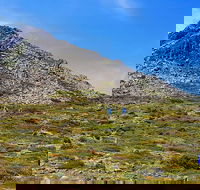 3-Day Hobart Adventure Tour Mount Field Cape Hauy and Hartz Peak - Airlie Beach Holiday