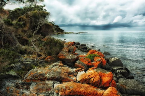 Hobart\'s Best: City, Nature, Wildlife, And Fine Cuisine - Airlie Beach Holiday 6