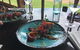 Hobart\'s Best: City, Nature, Wildlife, And Fine Cuisine - thumb 5