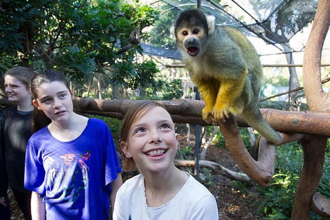Adelaide Zoo Behind The Scenes Experience: Squirrel Monkey Feeding - Airlie Beach Holiday 1