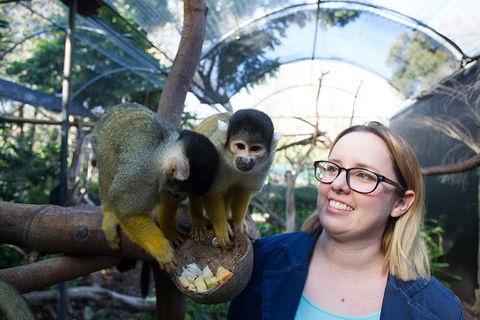 Adelaide Zoo Behind The Scenes Experience: Squirrel Monkey Feeding - Airlie Beach Holiday 0