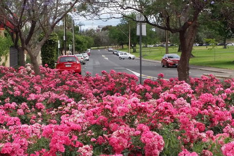 Adelaide Walking Tour: Hills, Squares And Parklands - Airlie Beach Holiday 6