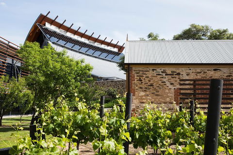 Australian Wine Discovery Tour With Tastings - Airlie Beach Holiday 6