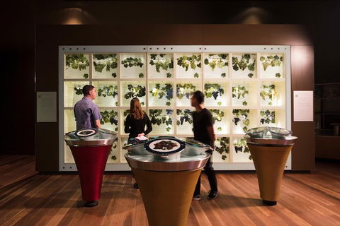 Australian Wine Discovery Tour With Tastings - Airlie Beach Holiday 5