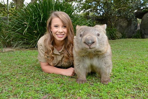 Croc Express To Australia Zoo From Brisbane - Airlie Beach Holiday 0