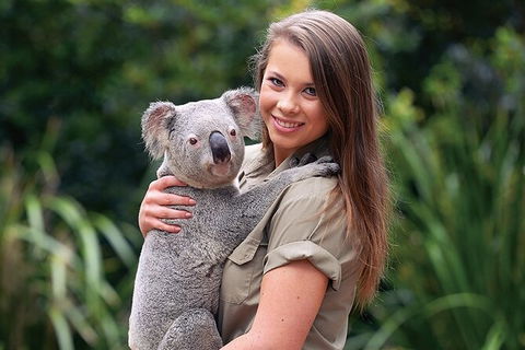 Croc Express To Australia Zoo From Brisbane - Airlie Beach Holiday 7