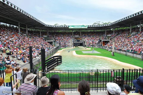 Croc Express To Australia Zoo From Brisbane - Airlie Beach Holiday 12