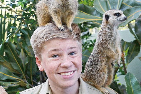 Croc Express To Australia Zoo From Brisbane - Airlie Beach Holiday 9