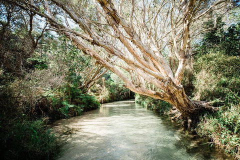 All-Inclusive 2-Day Fraser Island Tour - Airlie Beach Holiday 11