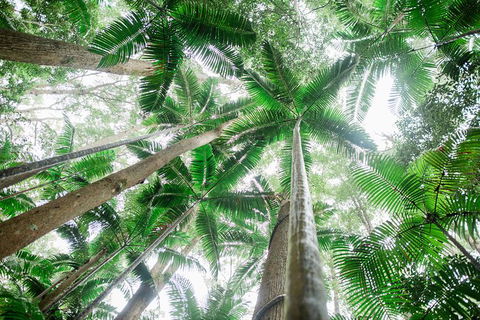 All-Inclusive 2-Day Fraser Island Tour - Airlie Beach Holiday 8