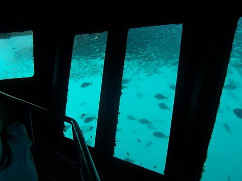 Great Barrier Reef Day Cruise To Reefworld - Airlie Beach Holiday 12