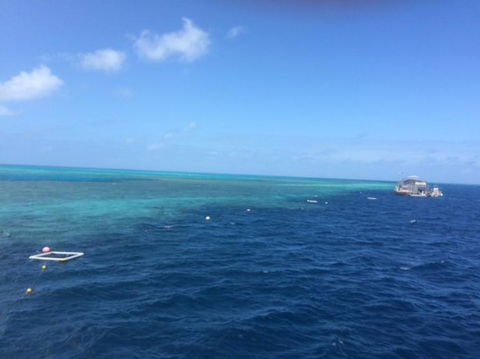 Great Barrier Reef Day Cruise To Reefworld - Airlie Beach Holiday 8