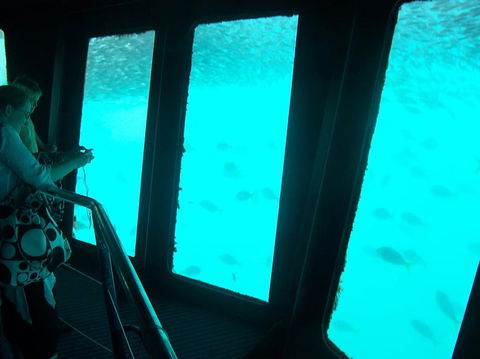 Great Barrier Reef Day Cruise To Reefworld - Airlie Beach Holiday 11