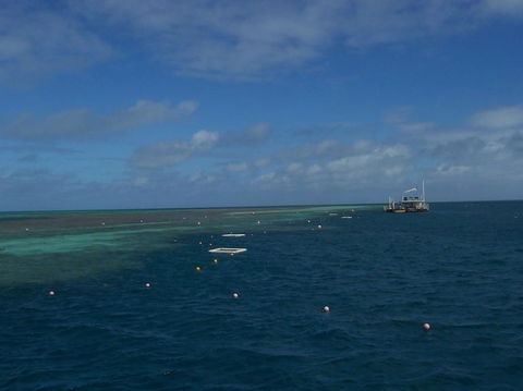 Great Barrier Reef Day Cruise To Reefworld - Airlie Beach Holiday 15