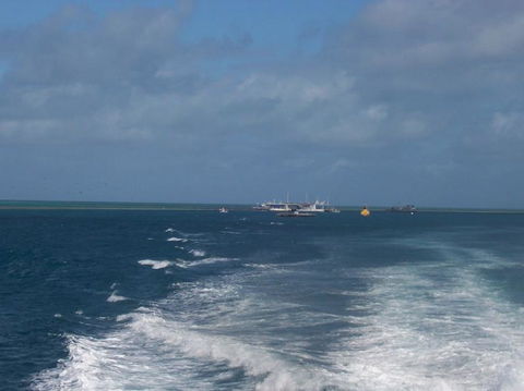 Great Barrier Reef Day Cruise To Reefworld - Airlie Beach Holiday 22