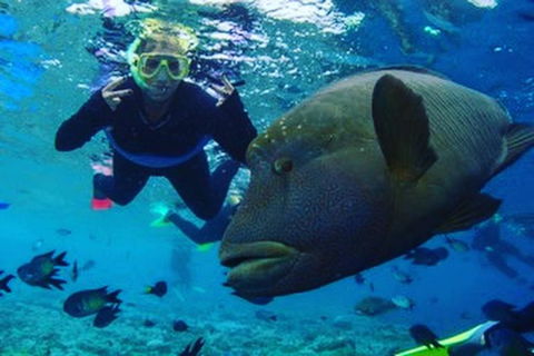 Great Barrier Reef Day Cruise To Reefworld - Airlie Beach Holiday 5
