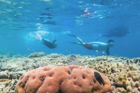 Great Barrier Reef Day Cruise To Reefworld - Airlie Beach Holiday 1