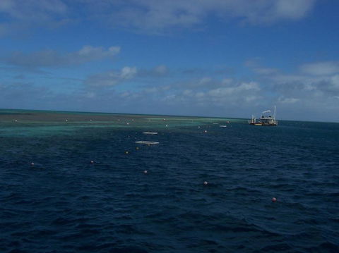 Great Barrier Reef Day Cruise To Reefworld - Airlie Beach Holiday 13