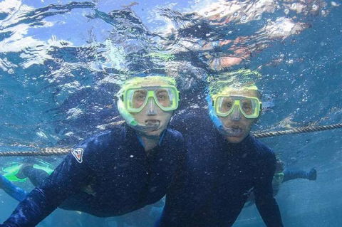 Great Barrier Reef Day Cruise To Reefworld - Airlie Beach Holiday 3
