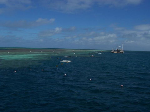 Great Barrier Reef Day Cruise To Reefworld - Airlie Beach Holiday 14