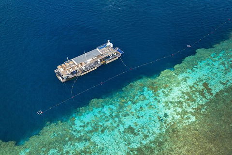 Great Barrier Reef Day Cruise To Reefworld - Airlie Beach Holiday 24