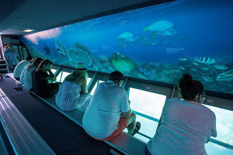 Great Barrier Reef Day Cruise To Reefworld - Airlie Beach Holiday 28
