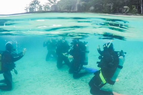 3 Day Whitsundays Sailing And Diving Adventure: Kiana - Airlie Beach Holiday 12