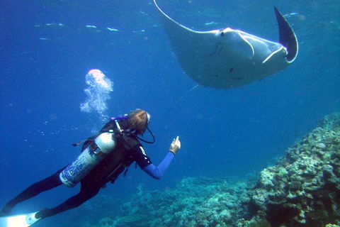 3 Day Whitsundays Sailing And Diving Adventure: Kiana - Airlie Beach Holiday 9