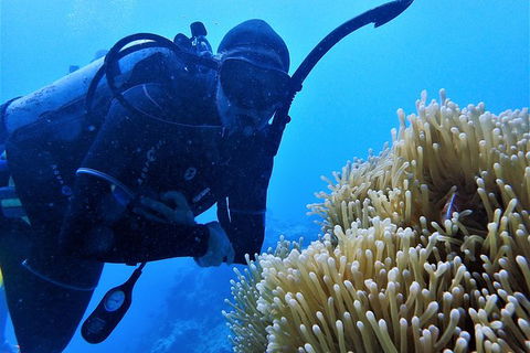 3 Day Whitsundays Sailing And Diving Adventure: Kiana - Airlie Beach Holiday 3