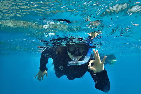 3 Day Whitsundays Sailing And Diving Adventure: Kiana - Airlie Beach Holiday 11