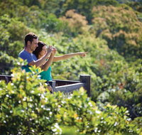 Conway National Park Coral Beach Walk including Shute Harbour from Airlie Beach - Airlie Beach Holiday