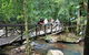 Springbrook Half Day Tour - thumb 1