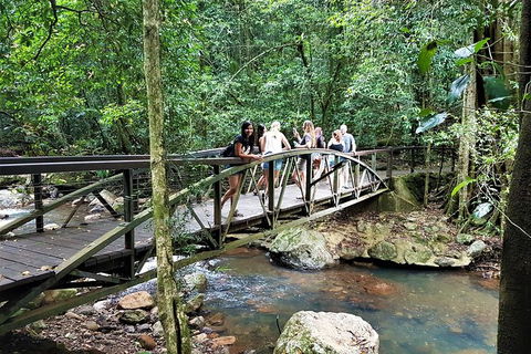 Springbrook Half Day Tour - Airlie Beach Holiday 1