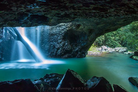 Springbrook Half Day Tour - Airlie Beach Holiday 0